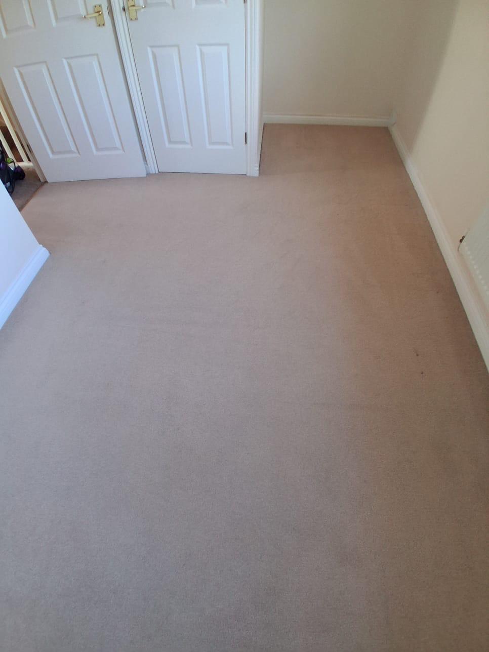 Bedroom after professional carpet cleaning (Second View)