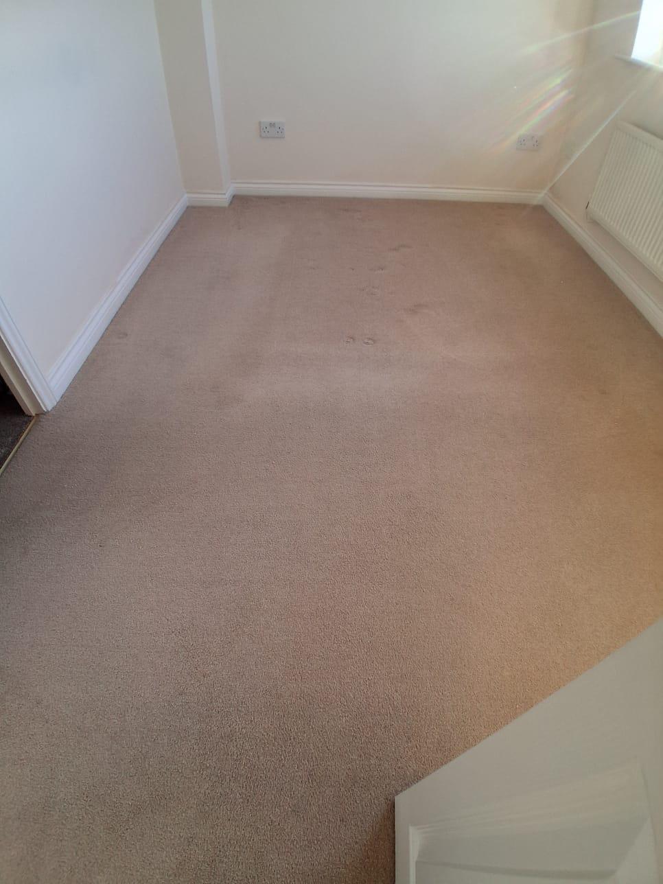 Bedroom after professional carpet cleaning